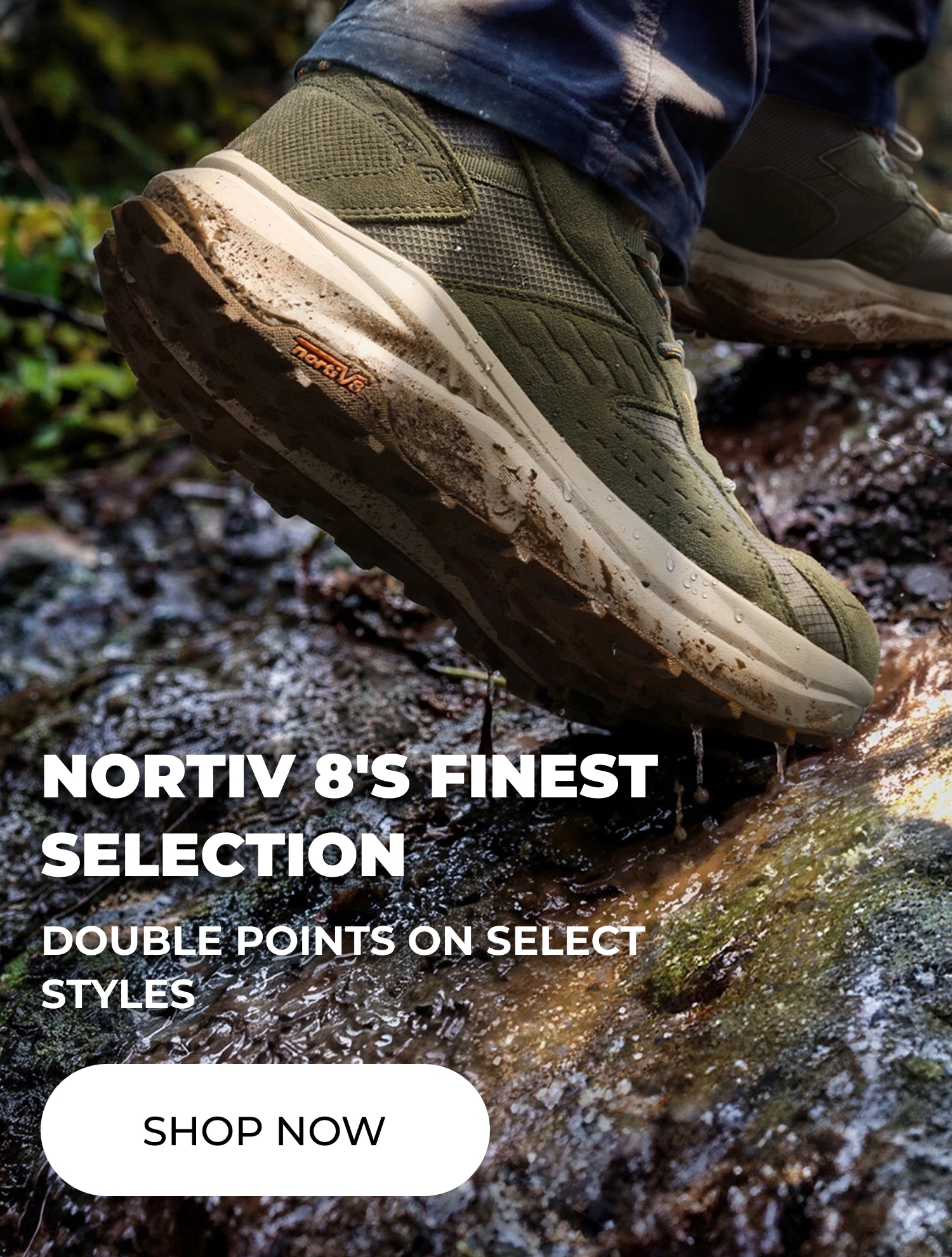 NORTIV 8'S FINEST SELECTION