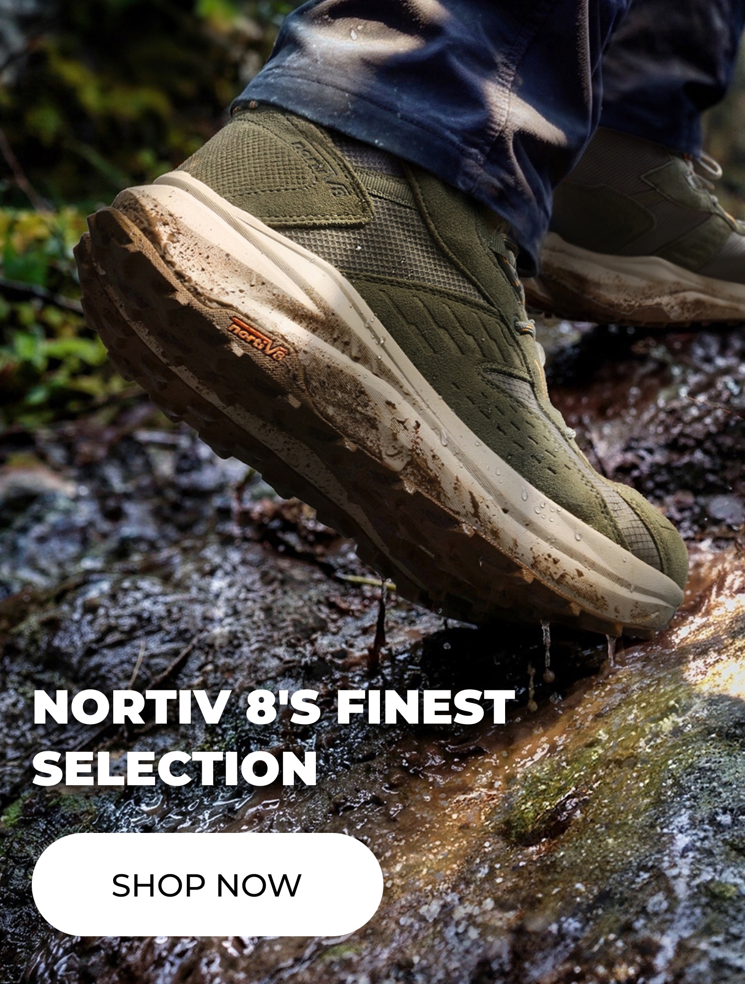 NORTIV 8'S FINEST SELECTION