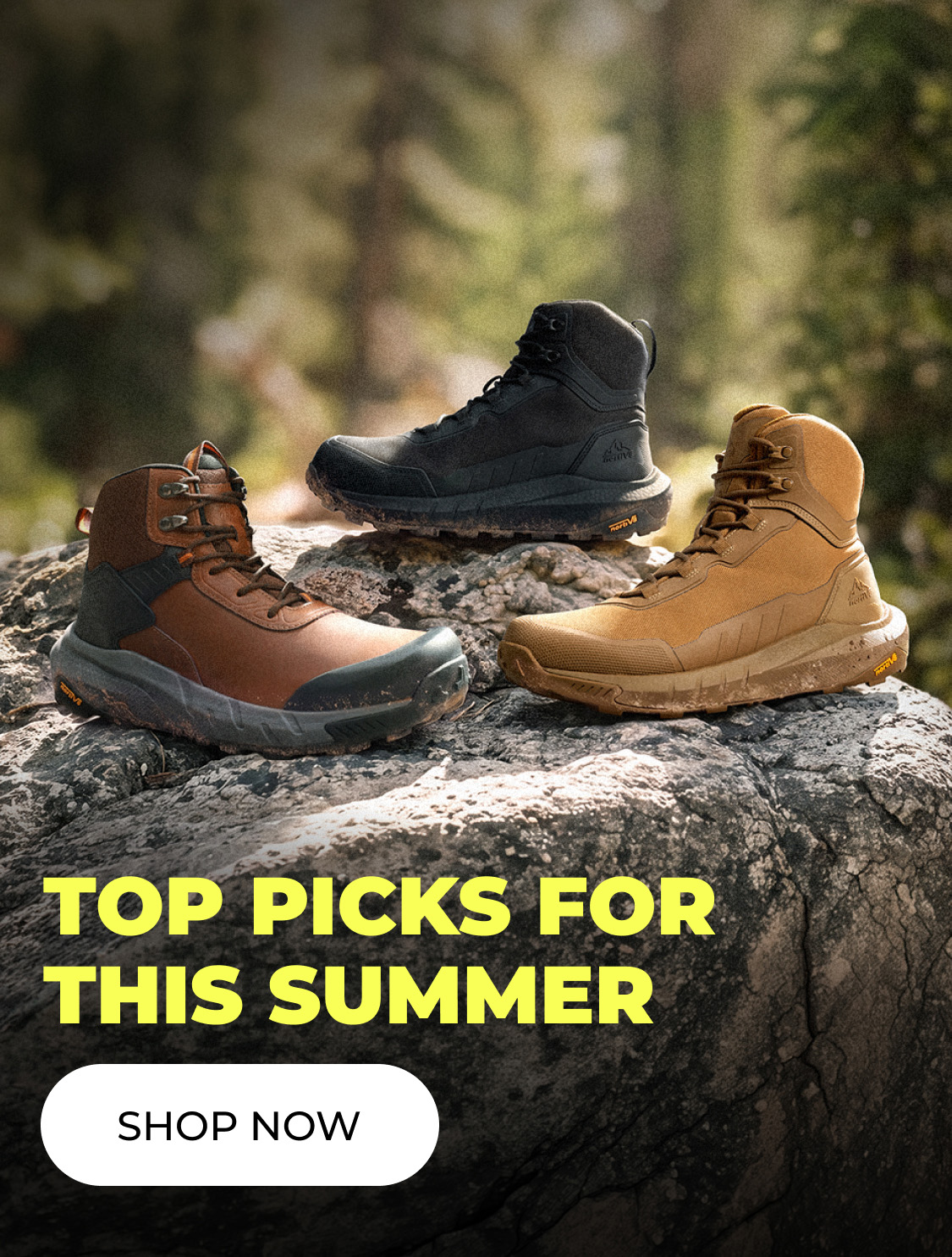 TOP PICKS FOR THIS SUMMER